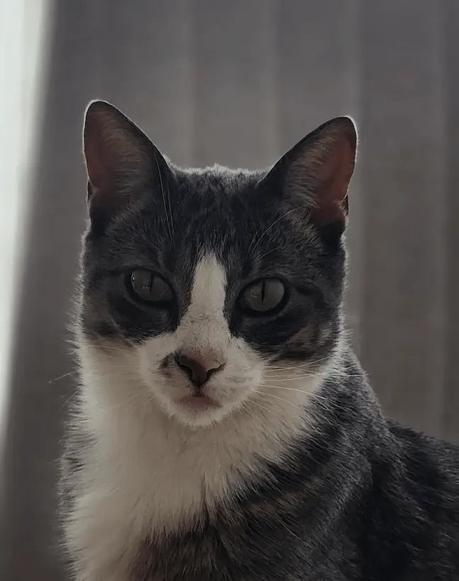 Impressionism before